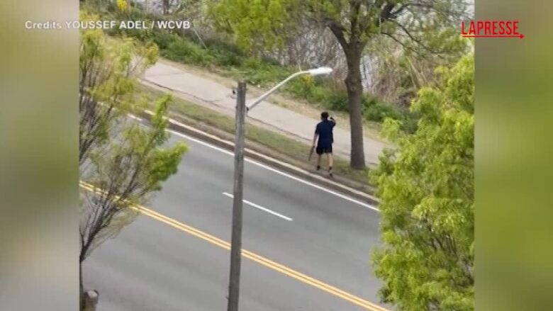 Usa, un uomo spara sulle auto in corsa con un fucile d’assalto