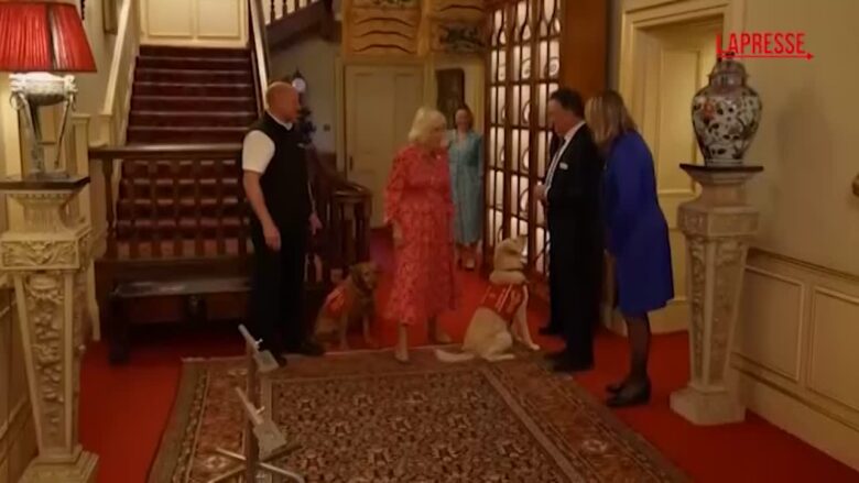 Gb, regina Camilla circondata da cani addestrati al rilevamento del cancro