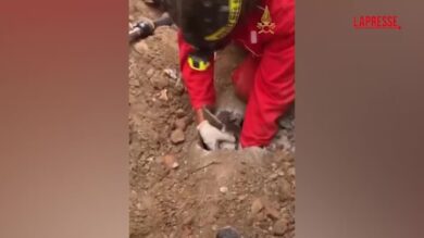 Brescia, capretta intrappolata in tubo fognario: il salvataggio a lieto fine dei vigili del fuoco