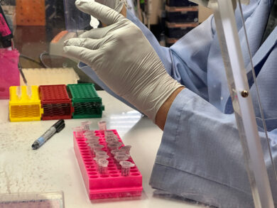 Hantavirus, negativi i test sui casi sospetti in Italia. Bertolaso: “Non è un nuovo Covid”