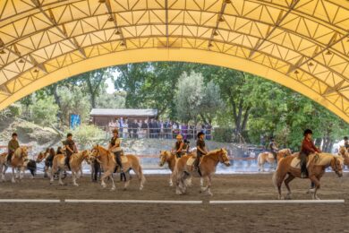 San Raffaele, 40 anni di riabilitazione equestre: “Cavallo mediatore terapeutico”