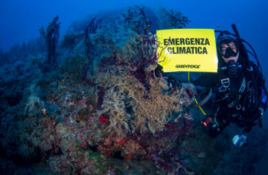 Italiani morti alle Maldive, Università di Genova: “Immersione non rientrava nella missione scientifica”
