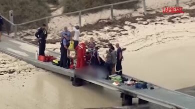 Australia, squalo attacca e uccide un 38enne che stava pescando