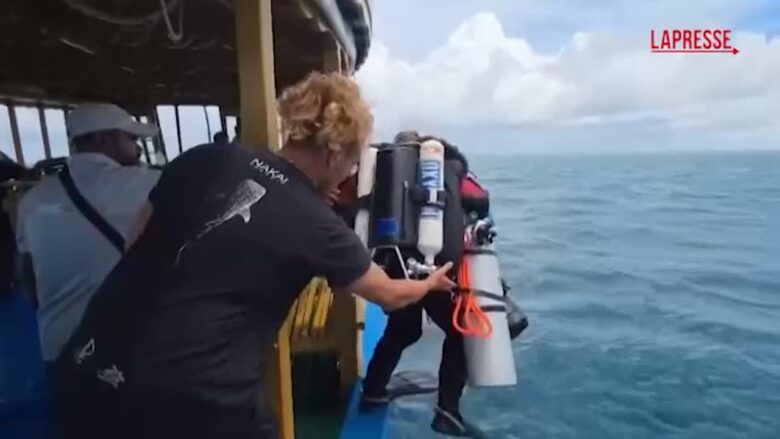 Maldive, recuperati i corpi di due sub italiani: l'immersione dei sommozzatori finlandesi