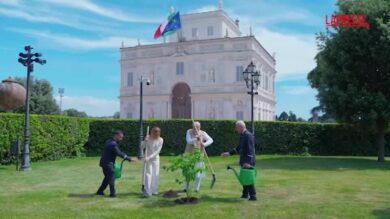 Italia-India, Meloni e Modi chiudono l'incontro con la piantumazione gelso nero
