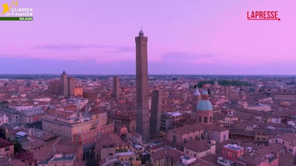 bologna truffe online e commercio illegale animali esotici una denuncia da Lapresse.it bologna truffe online e commercio illegale animali esotici una denuncia