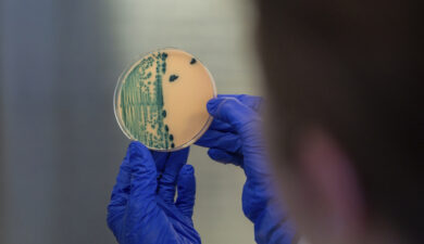 Shigella, cos’è il batterio che ha colpito i due cooperanti italiani