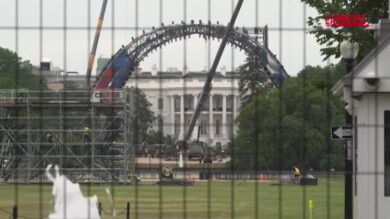 Trump, lotta di arti marziali per il suo compleanno: il ring prende forma nel giardino della Casa Bianca