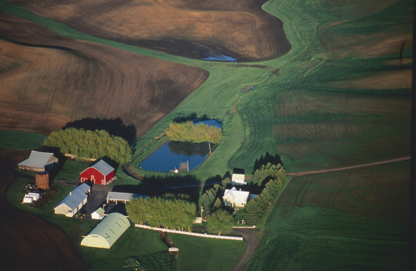 intelligenza artificiale in agricoltura accordo polimi fao per la sicurezza alimentare da Lapresse.it intelligenza artificiale in agricoltura accordo polimi fao per la sicurezza alimentare