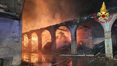 Milano, incendio a Cascina Rancate: salvate 510 mucche