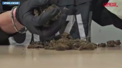 Droga, polizia arresta 1335 persone e sequestra oltre 450 kg di stupefacenti
