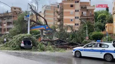 Maltempo a Roma, albero si abbatte su un distributore di carburante