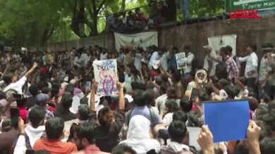 India, maxi protesta del Cockroach Janata Party: il movimento degli ‘scarafaggi’