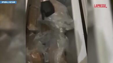 Milano, 100 chili di droga nel furgone e nel congelatore: arrestato
