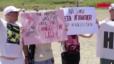 Albania, la protesta dei "fenicotteri rosa" arriva anche in Italia: "Non siamo in vendita"