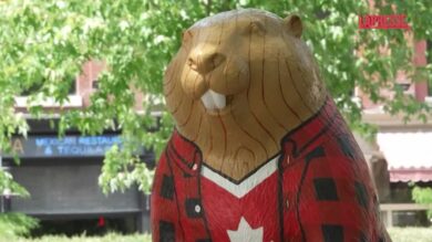 Mondiali 2026, a Toronto la caccia al tesoro ai 51 castori dedicati alle Nazionali partecipanti