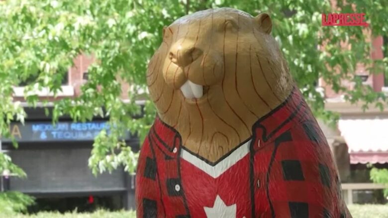 Mondiali 2026, a Toronto la caccia al tesoro ai 51 castori dedicati alle Nazionali partecipanti