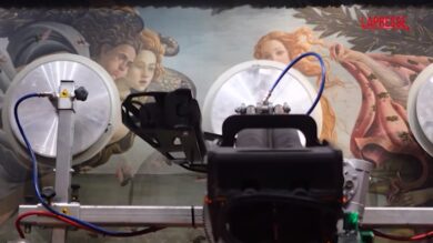 Uffizi, riaprono le sale del Botticelli: Venere guarda negli occhi Primavera