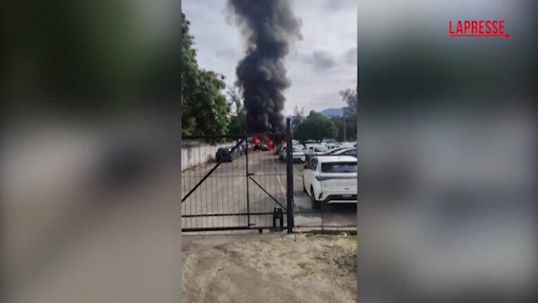 Il cantante Oliver Tree morto in un incidente in elicottero, il video dello schianto a Rio de Janeiro