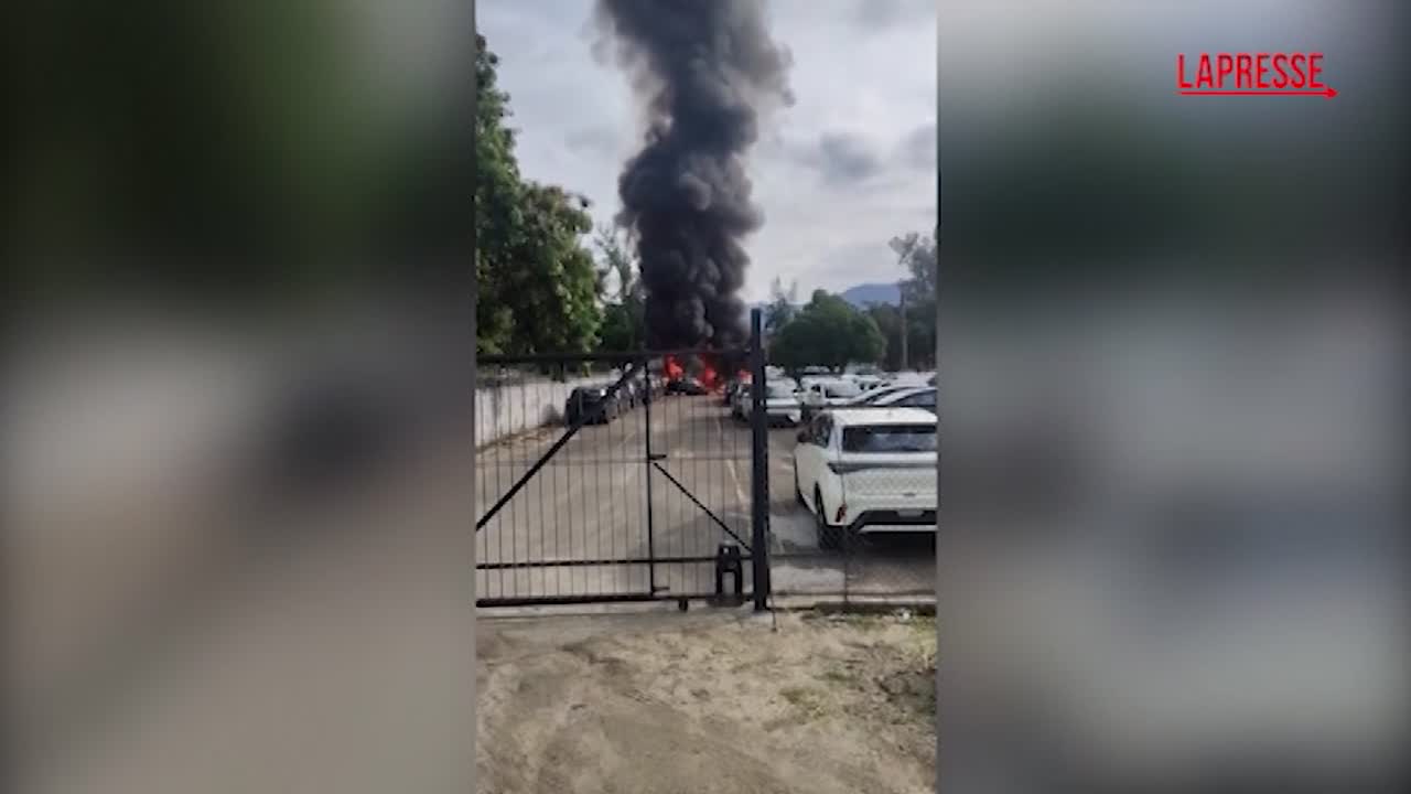 il cantante oliver tree morto in un incidente in elicottero il video dello schianto a rio de janeiro da Lapresse.it il cantante oliver tree morto in un incidente in elicottero il video dello schianto a rio de janeiro