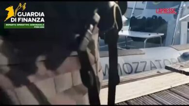 Abruzzo, scoperti pescatori abusivi: rigettati in mare oltre 5mila ricci