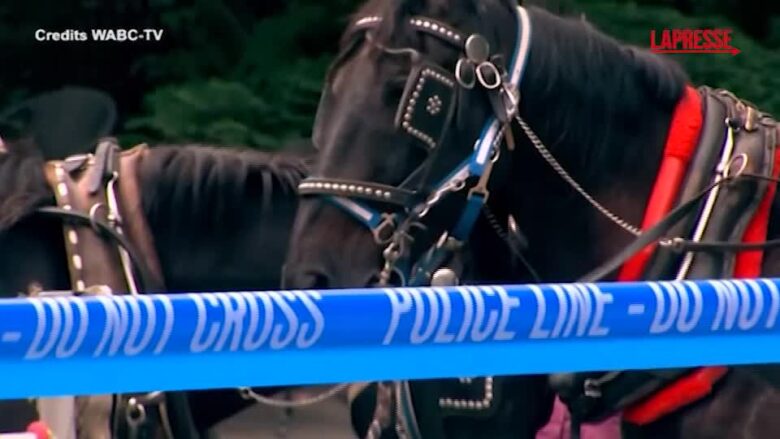 New York, 18enne muore scaraventato a terra da un cavallo imbizzarrito: la carrozza ribaltata all'interno di Central Park