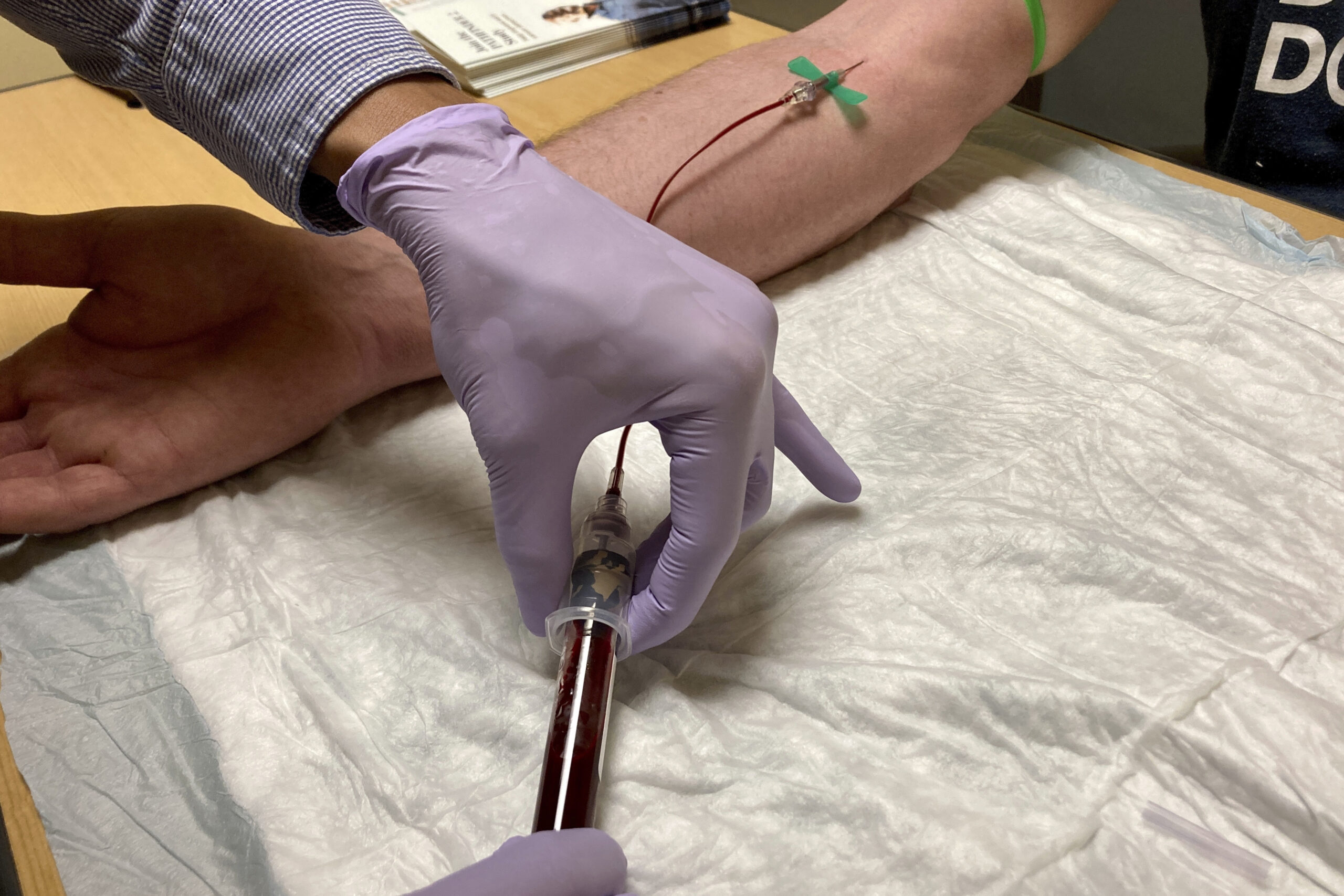 Tumore del sangue, nasce ProgEvo: il modello che ricostruisce la storia genetica per aiutare medici e pazienti Tumore del sangue, nasce ProgEvo: il modello che ricostruisce la storia genetica per aiutare medici e pazienti
