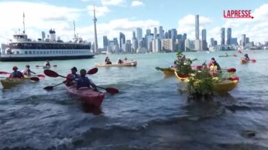 Mondiali 2026, i tifosi seguono Germania-Costa d’Avorio in kayak sul Lago Ontario