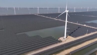 Tg Green 25 giugno – Arriva il nuovo decreto per spingere le rinnovabili