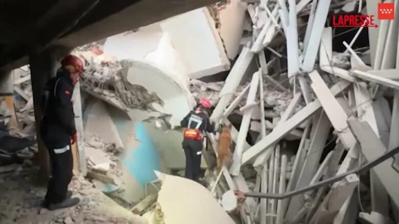 Terremoto in Venezuela, i soccorritori spagnoli utilizzano i cani per cercare sopravvissuti