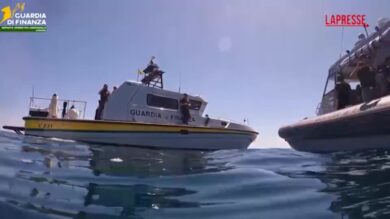 Ancona, restituite al mare due tartarughe 'Caretta caretta'
