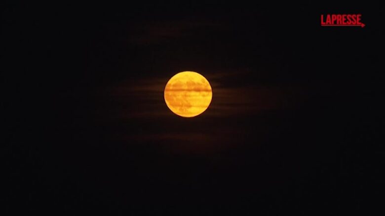 Austria, a Vienna lo spettacolo della "Luna delle Fragole"