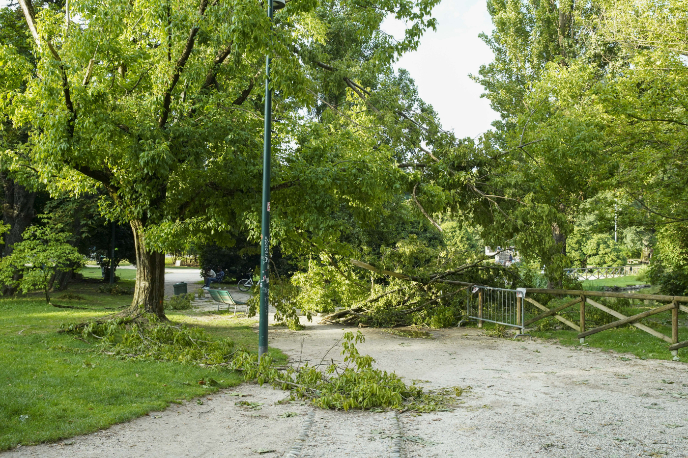 Milano, pioggia e temporali in arrivo oggi: allerta arancione, parchi chiusi Milano, pioggia e temporali in arrivo oggi: allerta arancione, parchi chiusi