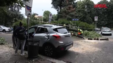 Pioggia e vento su Milano, crolla albero in viale Lazio e finisce sopra una vettura