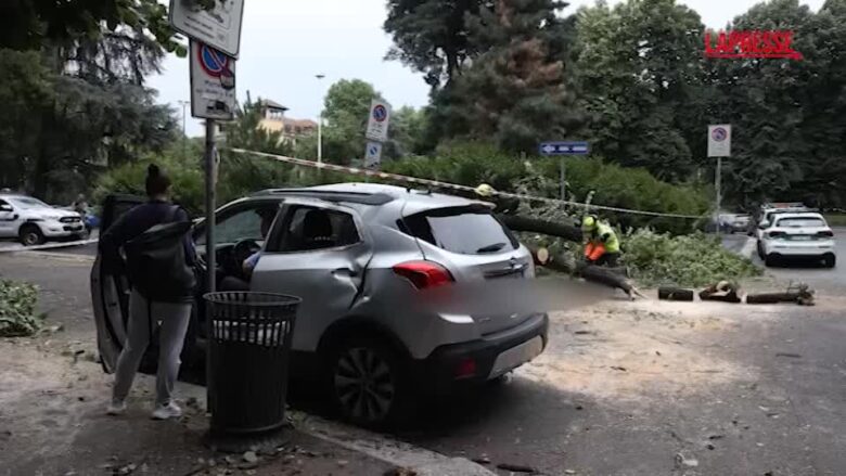 Pioggia e vento su Milano, crolla albero in viale Lazio e finisce sopra una vettura