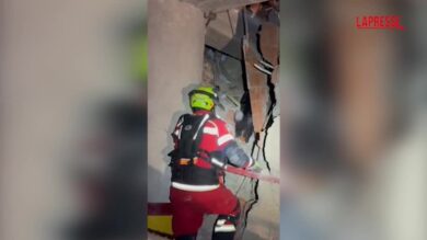 Venezuela, cane-eroe rintraccia superstite tra le macerie a 8 giorni dal sisma