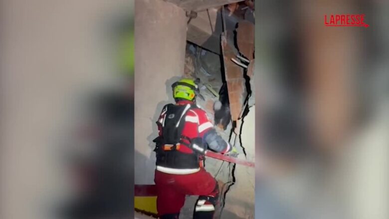 Venezuela, cane-eroe rintraccia superstite tra le macerie a 8 giorni dal sisma