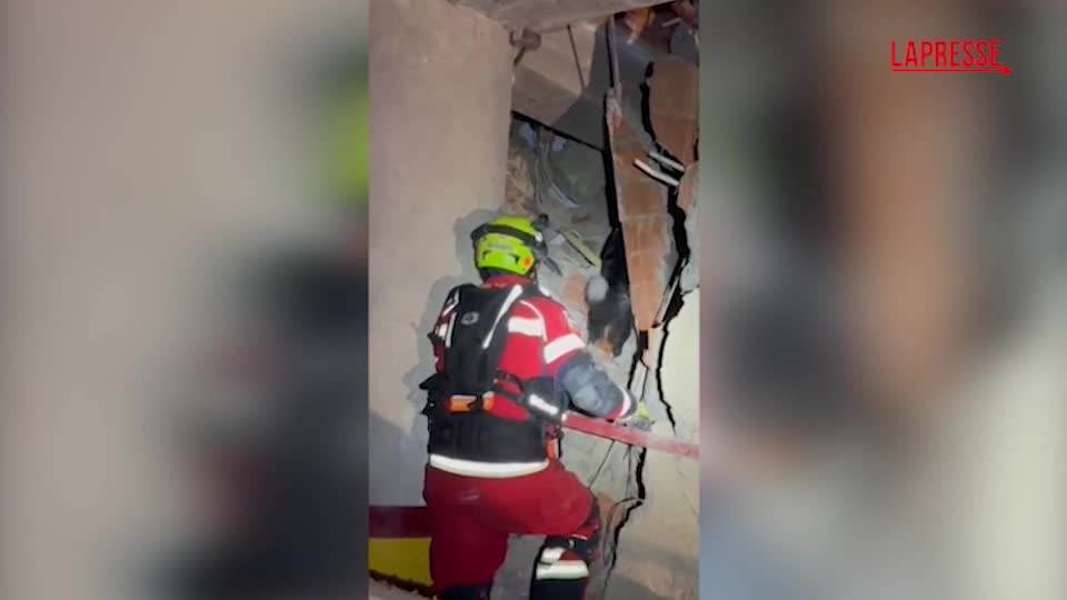 venezuela cane eroe rintraccia superstite tra le macerie a 8 giorni dal sisma da Lapresse.it venezuela cane eroe rintraccia superstite tra le macerie a 8 giorni dal sisma