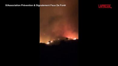 Francia, incendio sui Pirenei: 600 ettari in fiamme a Trévillach