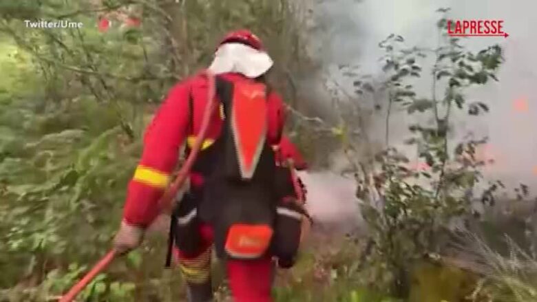 Portogallo: ampi incendi nella zona di Vouzela, aiuti anche da Spagna e Italia