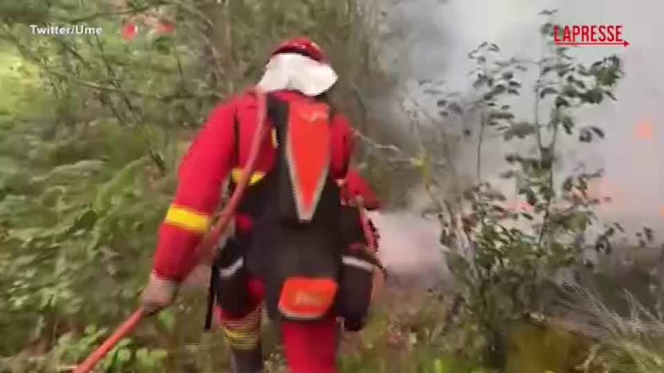 portogallo ampi incendi nella zona di vouzela aiuti anche da spagna e italia da Lapresse.it portogallo ampi incendi nella zona di vouzela aiuti anche da spagna e italia