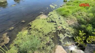 Torino, il Po in sofferenza: il livello dell'acqua è sempre più basso