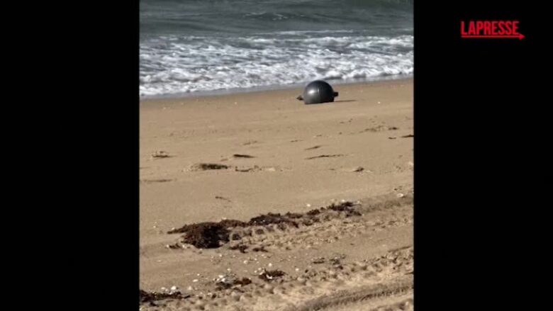 Australia, le misteriose sfere dello "Spazio" rinvenute sulla spiaggia a Forrest Beach