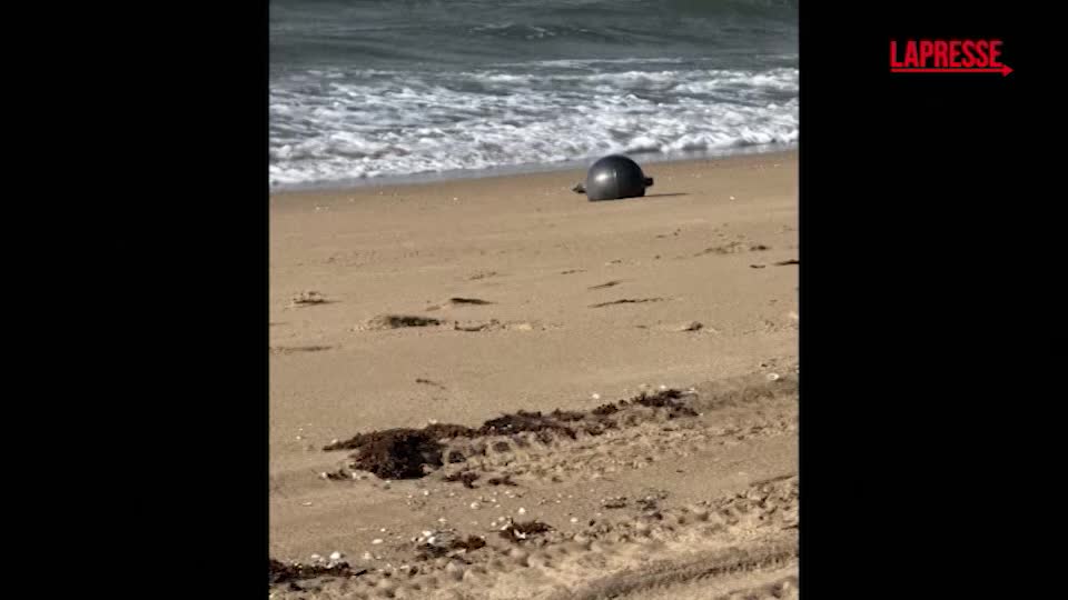 australia le misteriose sfere dello spazio rinvenute sulla spiaggia a forrest beach da Lapresse.it australia le misteriose sfere dello spazio rinvenute sulla spiaggia a forrest beach