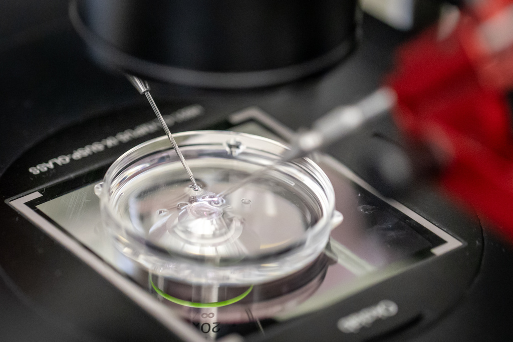 Procreazione assistita, la medicina predittiva cambia la fertilità Procreazione assistita, la medicina predittiva cambia la fertilità