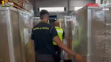 Genova, sequestrati al porto oltre 7 quintali di marijuana