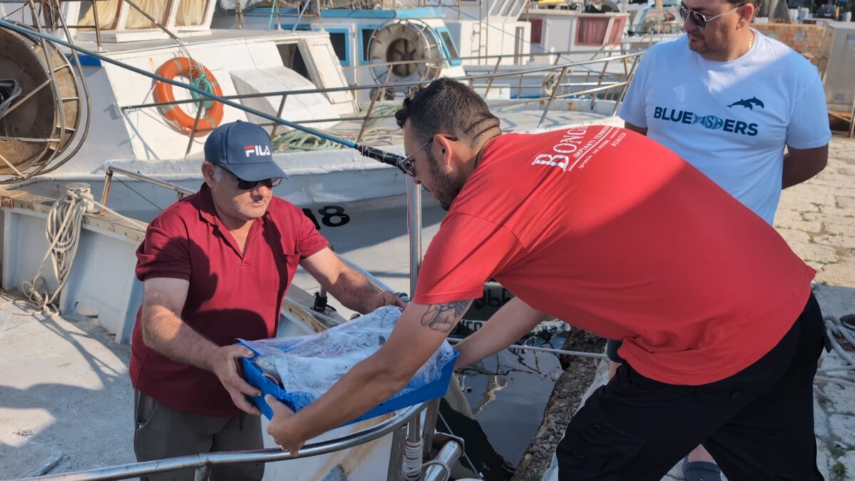 Ambiente: Marevivo rilancia ‘BlueFishers’ contro il polistirolo nella pesca Ambiente: Marevivo rilancia ‘BlueFishers’ contro il polistirolo nella pesca