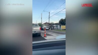 Usa, agente dell'ICE uccide un uomo a Houston: le immagini