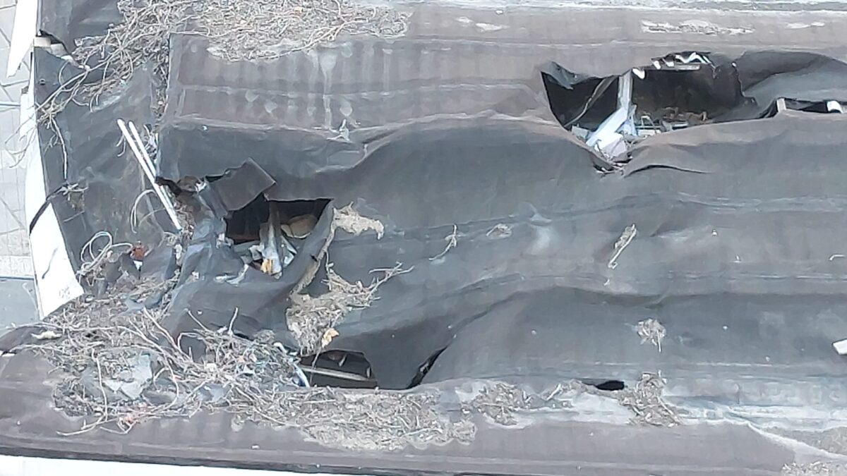Milano, sospetto amianto in un chiosco abbandonato: i timori dei residenti di Piazzale Baiamonti Milano, sospetto amianto in un chiosco abbandonato: i timori dei residenti di Piazzale Baiamonti