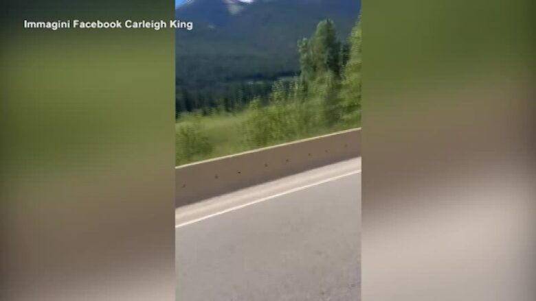 Dorme al volante e la Tesla guida da sola, il video virale sui social